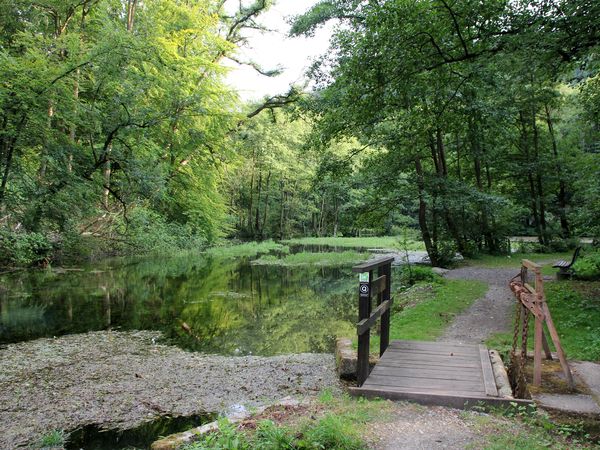 5 Tage Kurzurlaub im Naturparadies Arnsberg Halbpension