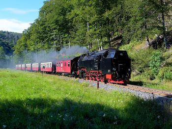 4 Tage Natur pur  inkl. Bahnfahrt auf den Brocken