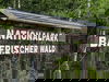 Baumwipfelknüller - 4 Tage mit Halbpension