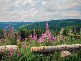 3 Tage Kurzurlaub in Astenkrone-Winterberg