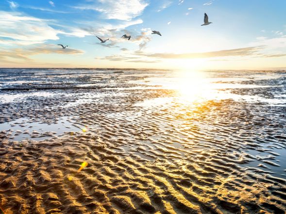 5 Tage an die Nordsee - MeerZeit inkl. Insel Föhr