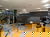 6 Tage Stadtrallye Dresden  - Sightseeing mal anders