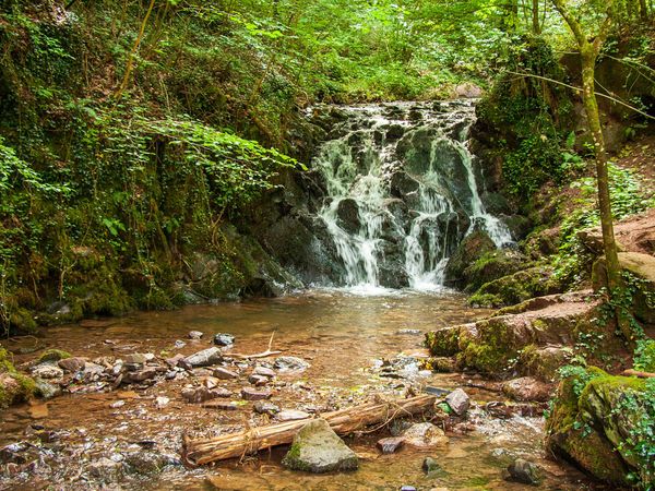 Aktiv und Erholt – 4 Tage im Herzen der Eifel in Bad Bertrich Halbpension