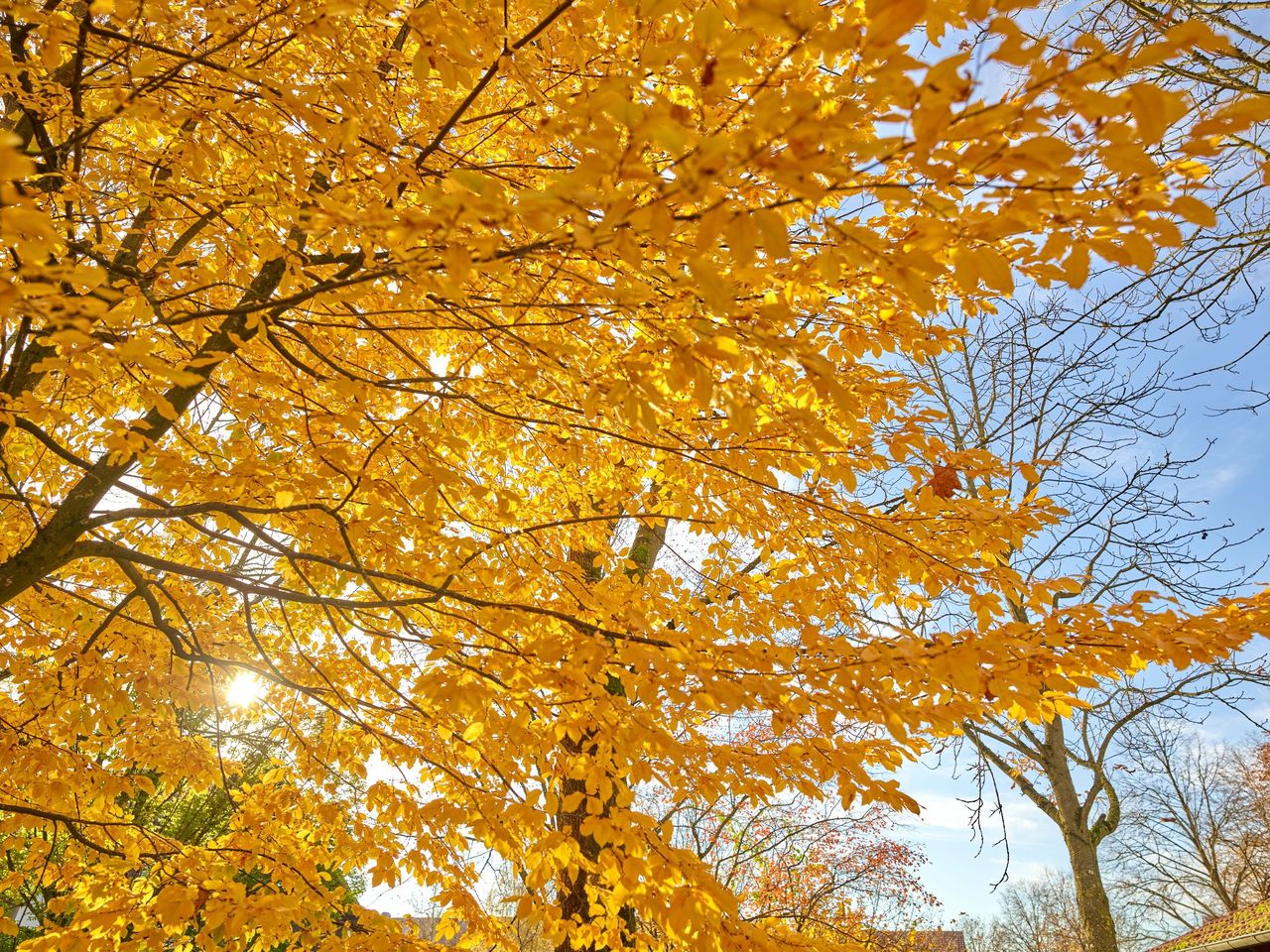 Herbst(aus)zeit in Bad Griesbach