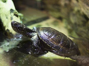 Ein Besuch im SEA LIFE Aquarium Oberhausen