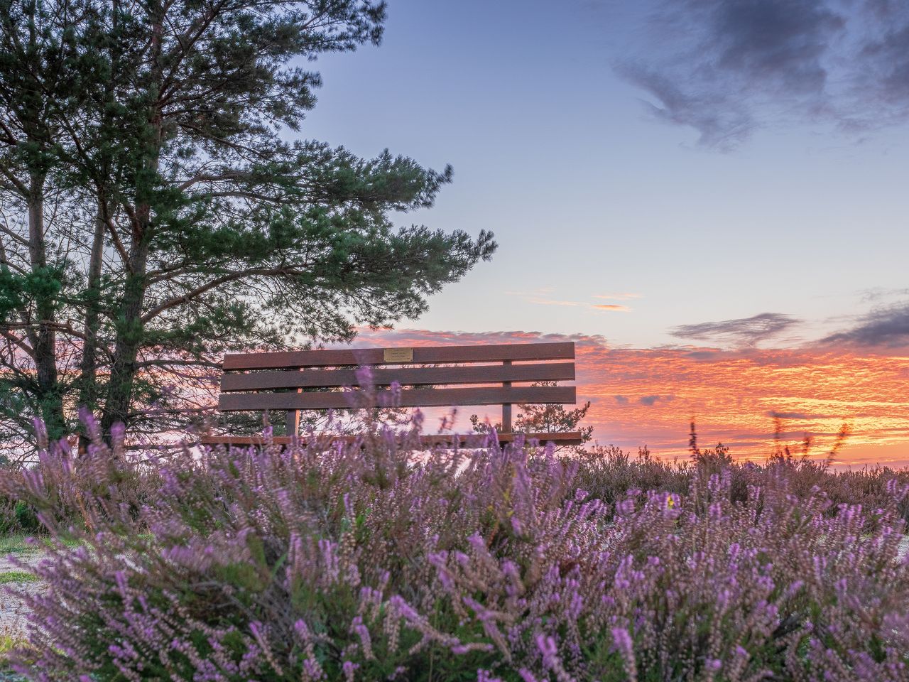 Ferien in der Lüneburger Heide - 2 Tage