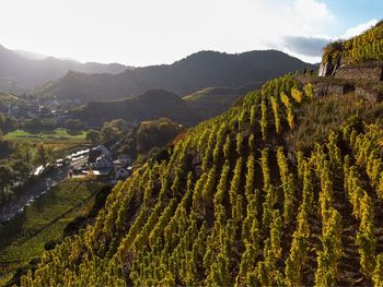 Bad Neuenahr/ Ahrtal: Auszeit inmitten der Natur