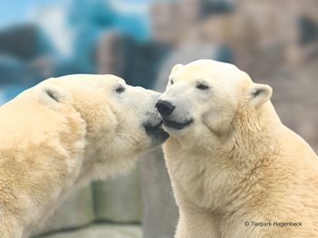 Tierpark und Tropen Aquarium Hagenbeck in Hamburg mit Hotel