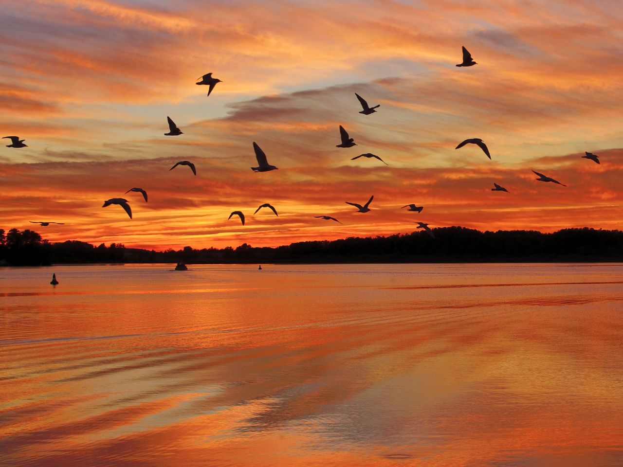 Special Mecklenburgische Seenplatte & Neustrelitz