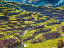 2 Tage Genussreise in die Europastadt Breisach m. HP