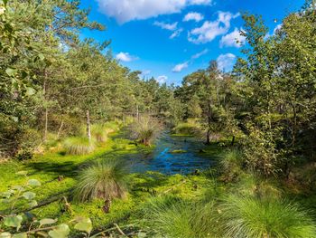 Beste Freundinnen Verwöhntage in der Heide; m. Therme