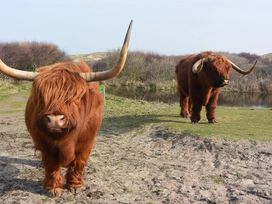 Nordsee-Auszeit mit Wellness mit Frühstück - 3 Tage