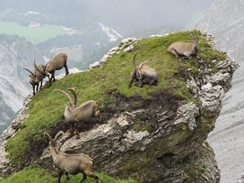Wipptaler Skitage - mehr Skifahren zum kleinen Preis