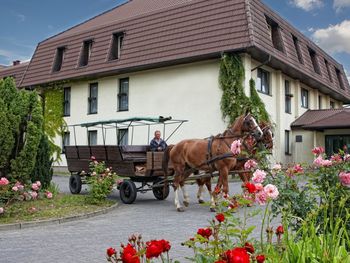 3 tolle Urlaubstage in der Feldberger Seenlandschaft