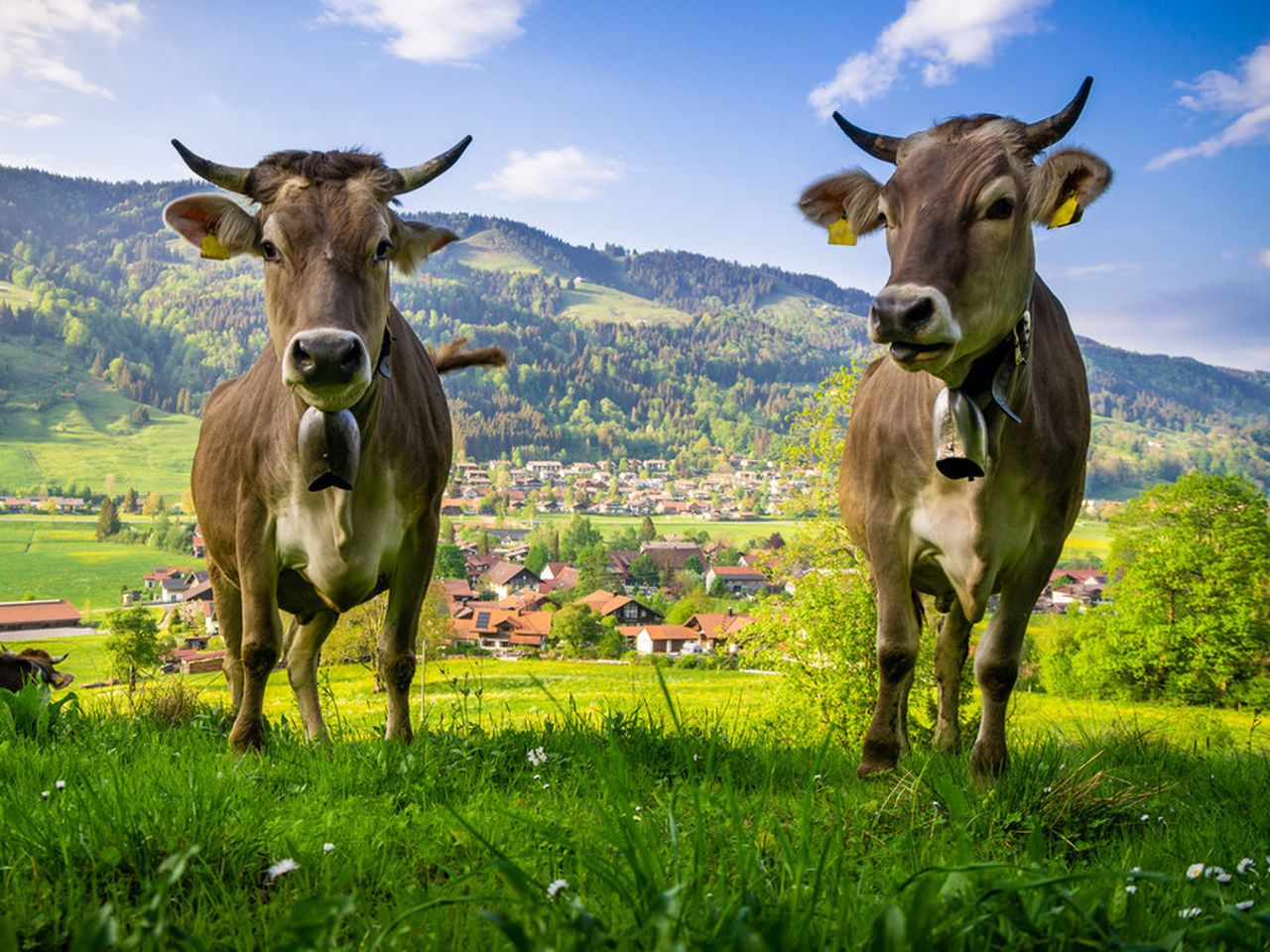 Herren-Retreat im Allgäu mit Bierprobe