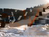3 Tage Skiauszeit in Fieberbrunn inkl. Skipass