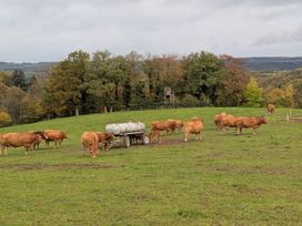 5 Tage Naturerlebnis Teutoburger Wald mit HP