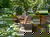 Familien-Urlaubswoche im veg. Bio-Resort 8 Tage