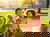 Zoo Rostock Tickets mit Hotel