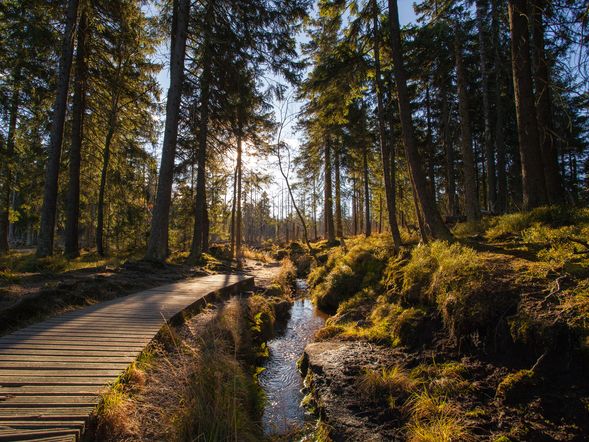 Romantischer Kurzurlaub- 4 Tage Auszeit im Harz
