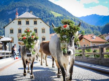 Entdeckertour; 3 Tage / 2 Nächte + HP