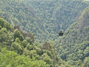 Wanderfreuden im Harz (5 Nächte)