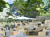 3 Tage City & Natur – Kurzurlaub in Den Bosch