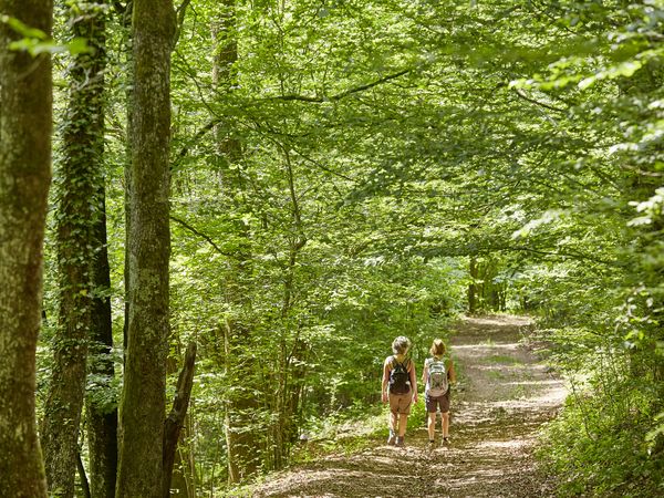 5 Tage WanderVergnügen im Schwarzwald in Elzach-Oberprechtal, Baden-Württemberg inkl. Halbpension Plus