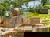 5 Tage am Wildlands Zoo – City & Tierwelt erleben
