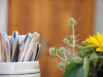 Schlemmen, Wandern und Wellness in Südfranken