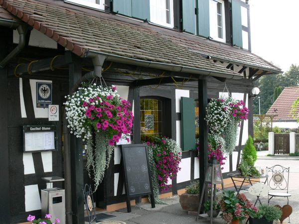 3 Tage Wander Special in Lichtenau (Baden), Baden-Württemberg inkl. Halbpension Plus