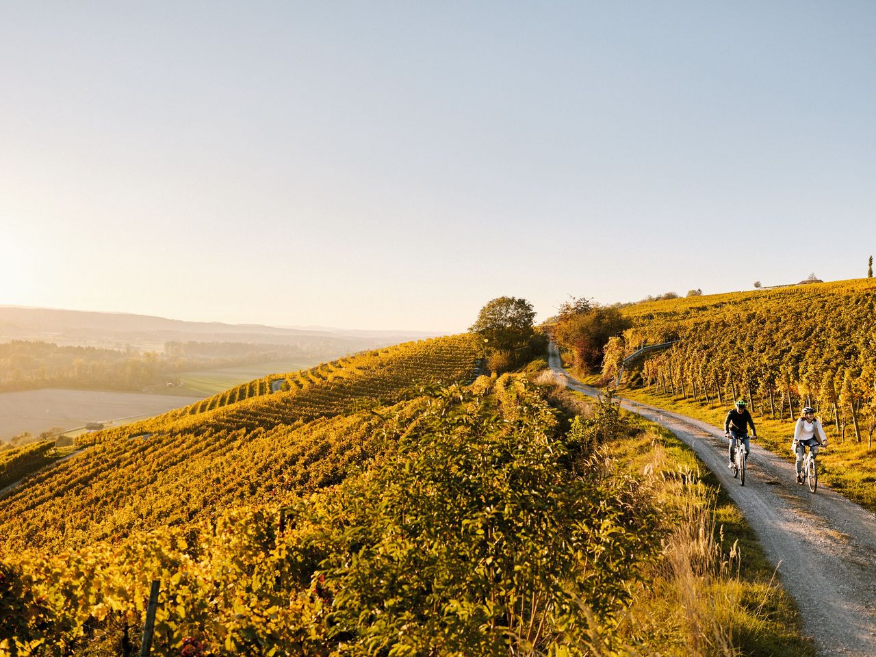 DINE & BIKE & WINE - 2 Nächte