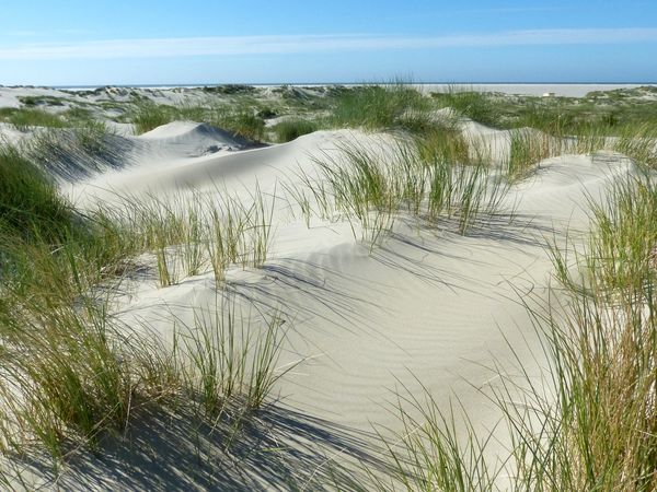 Borkum: Einfach an die Nordsee – 8 Tage Frühstück