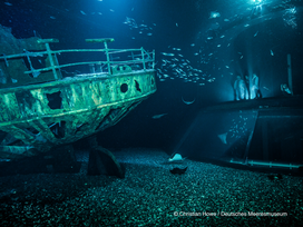 OZEANEUM Stralsund mit Ticket und Hotel