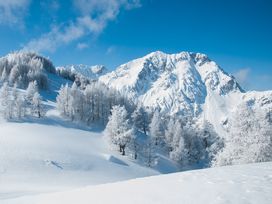 6 Tage Urlaub im Haus Austria