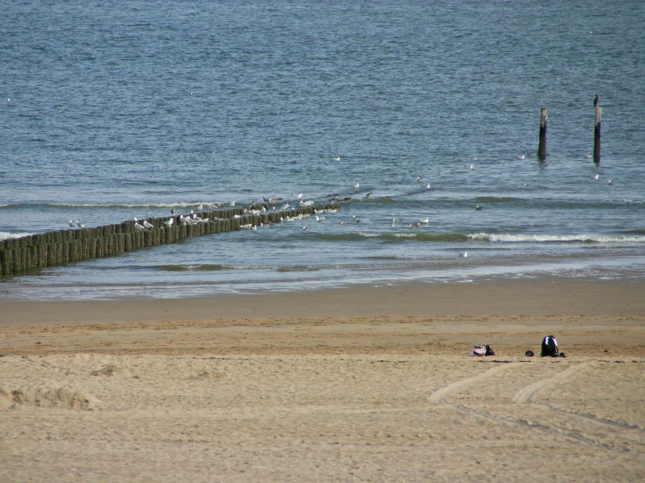 3 Tage an der Küste von Zeeland