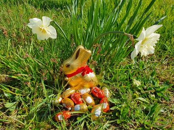 Osterferien im Bergischen Land