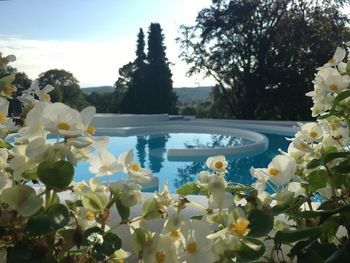 7 Tage Erholung von Kopf bis Fuß in der Thermae 2000