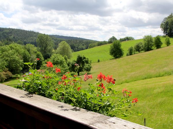 3 Tage aufregender Fahrradurlaub im Odenwald in Grasellenbach, Hessen inkl. Frühstück