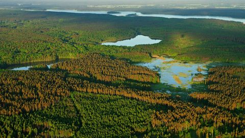 Masurische Seenplatte von oben