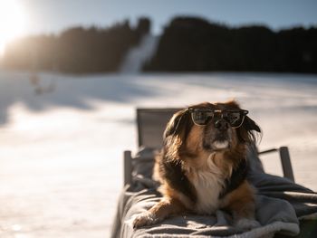 3 Tage Skiauszeit in Fieberbrunn inkl. Skipass