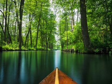 Blick auf den Spreewald