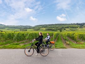 Radurlaub für Genießer