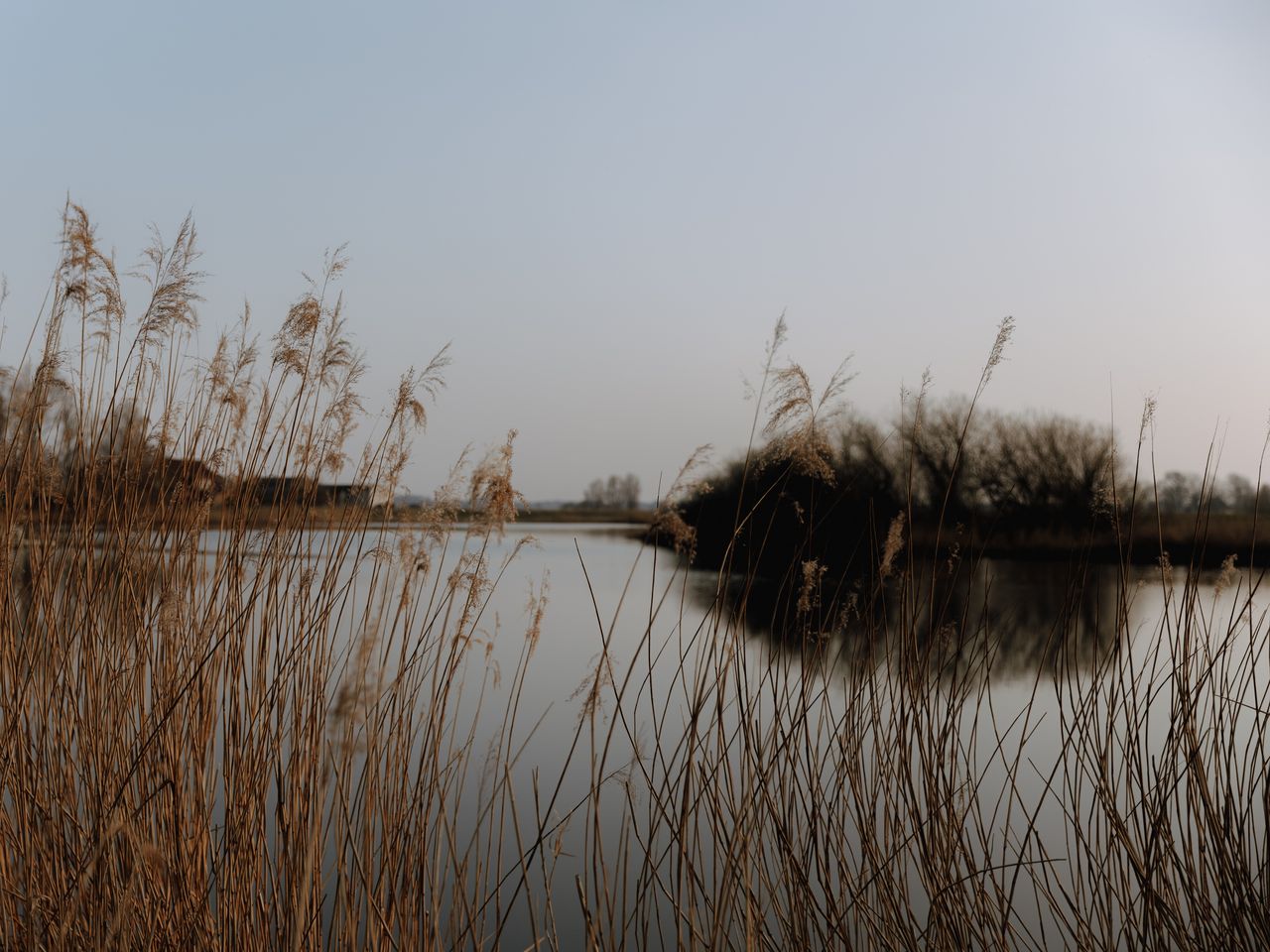 Auszeit in Nordfriesland - 1 Nacht (Mo.-Sa.)