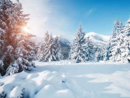 Ski- und Winterurlaub im Zillertal  - 7 Tage Mayrhofen