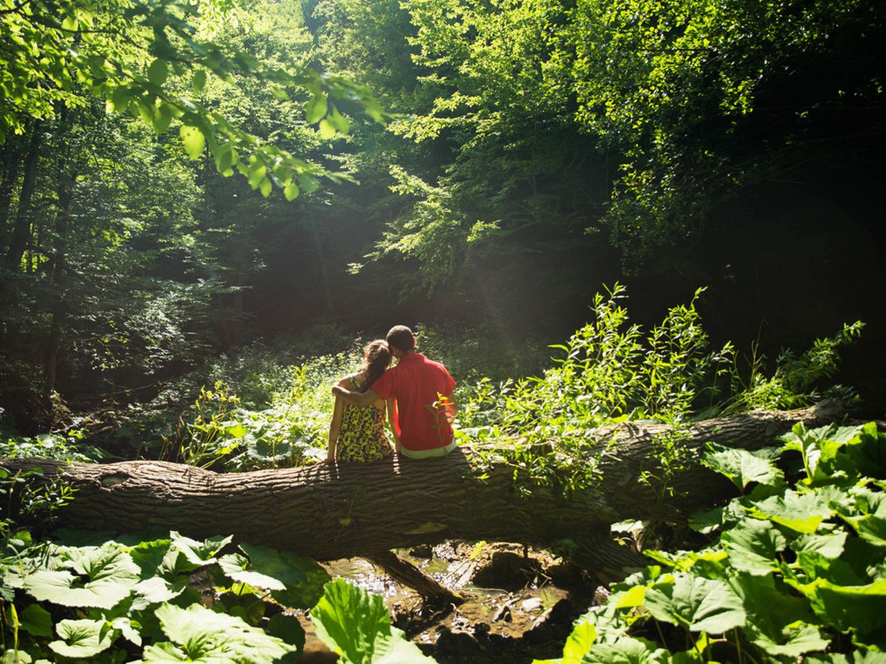 3 Tage Natur für Uns Pur - Waldbaden im Allgäu mit HP