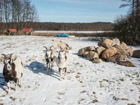 5 Tage großziegige Auszeit am Carwitzer See