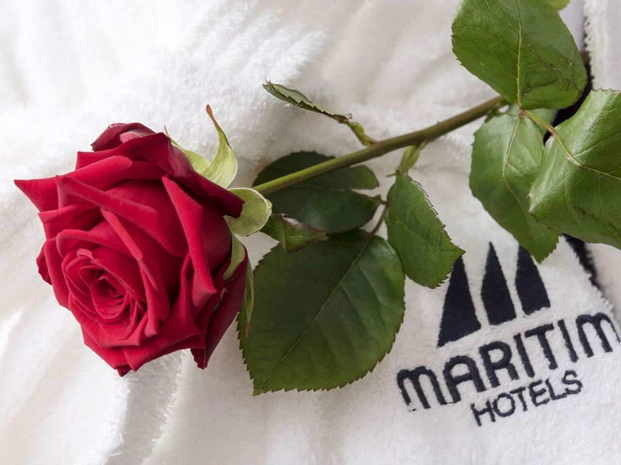 2 Tage im Maritim Airport Hotel Hannover