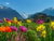 9 Tage im malerischen Lugano am See