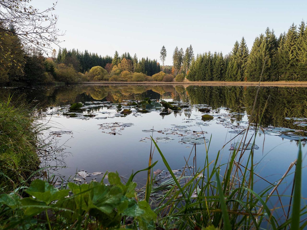 Wohlfühl-Urlaub im Frankenwald - 7 Tage